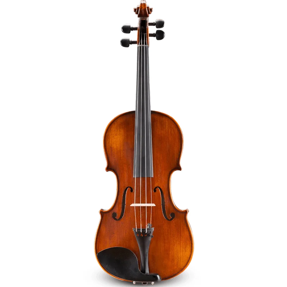 Andreas Eastman VL305SBC-4/4 Violin Outfit