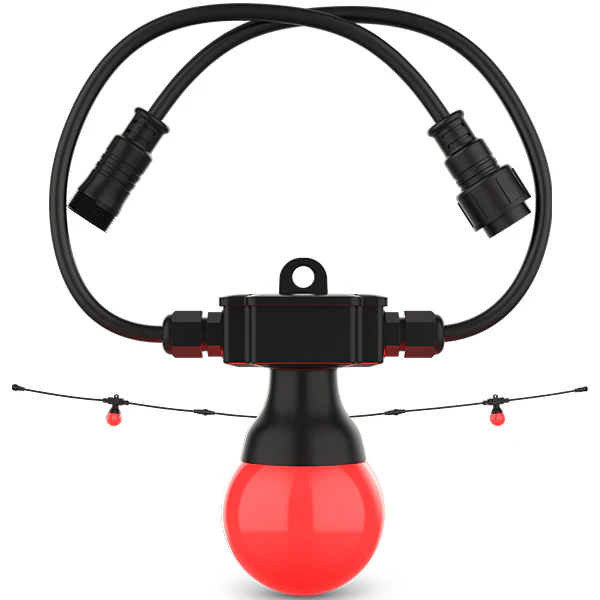 Chauvet FESTOON2RGBEXT Festoon 2 RGB Extension Kit, IP54 Rated, 20 Bulbs - Image 4