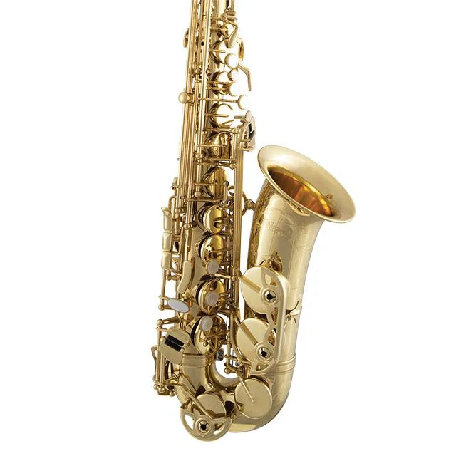 Conn Selmer Paris/USA SAS711 Collaboration Pro Alto Sax - Image 3
