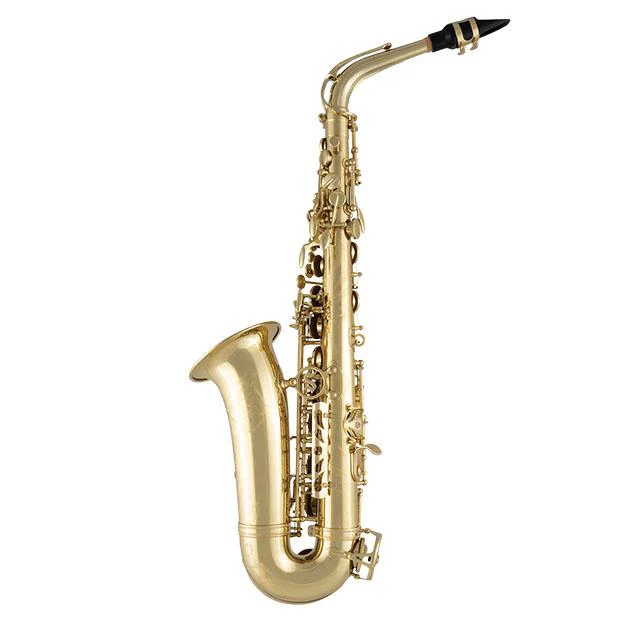 Conn Selmer Paris/USA SAS711 Collaboration Pro Alto Sax - Image 4