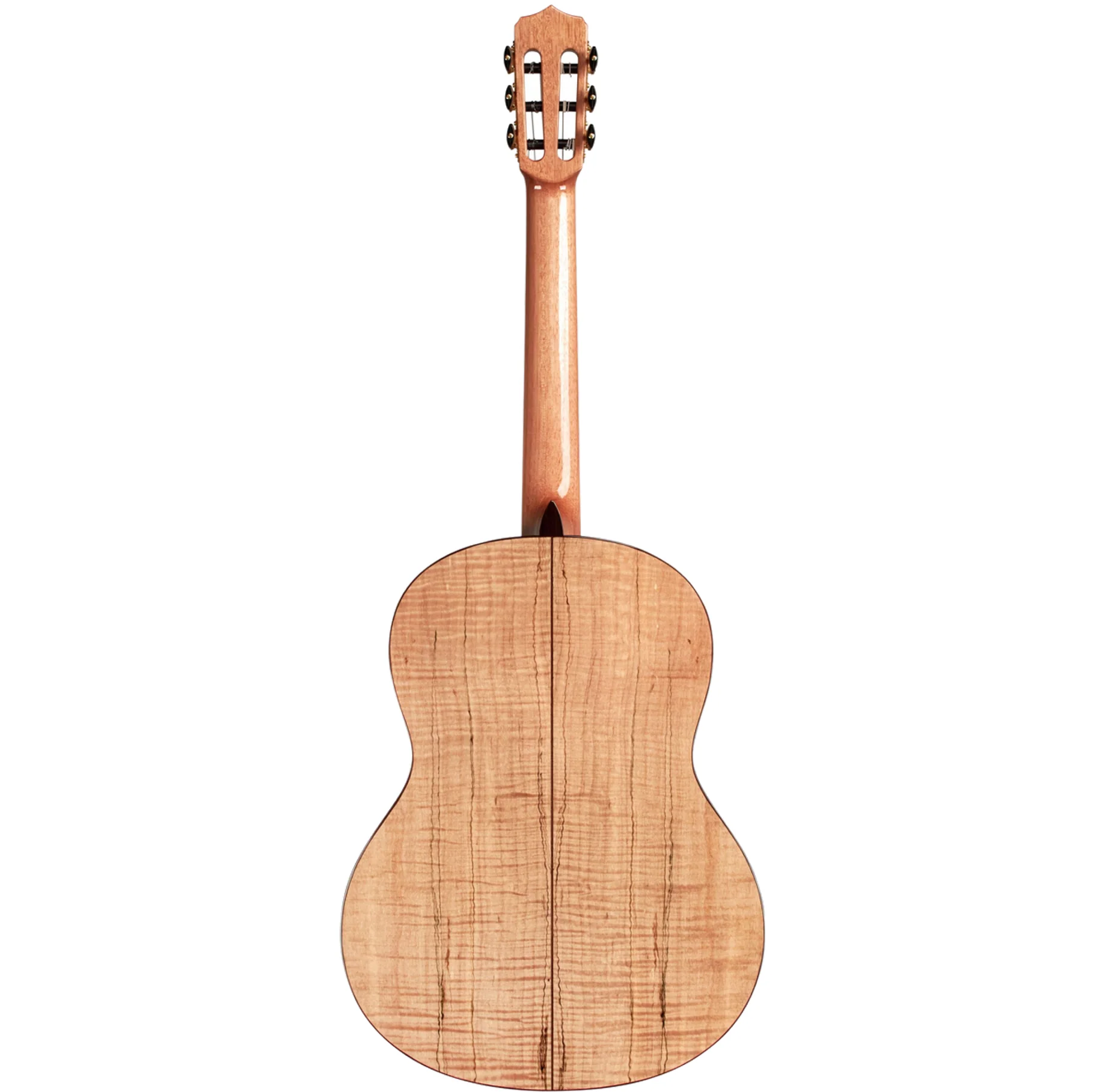 Cordoba C5-CROSSOVER AIMM Exclusive C5 Crossover Classical Guitar- Fusion Neck - Image 2