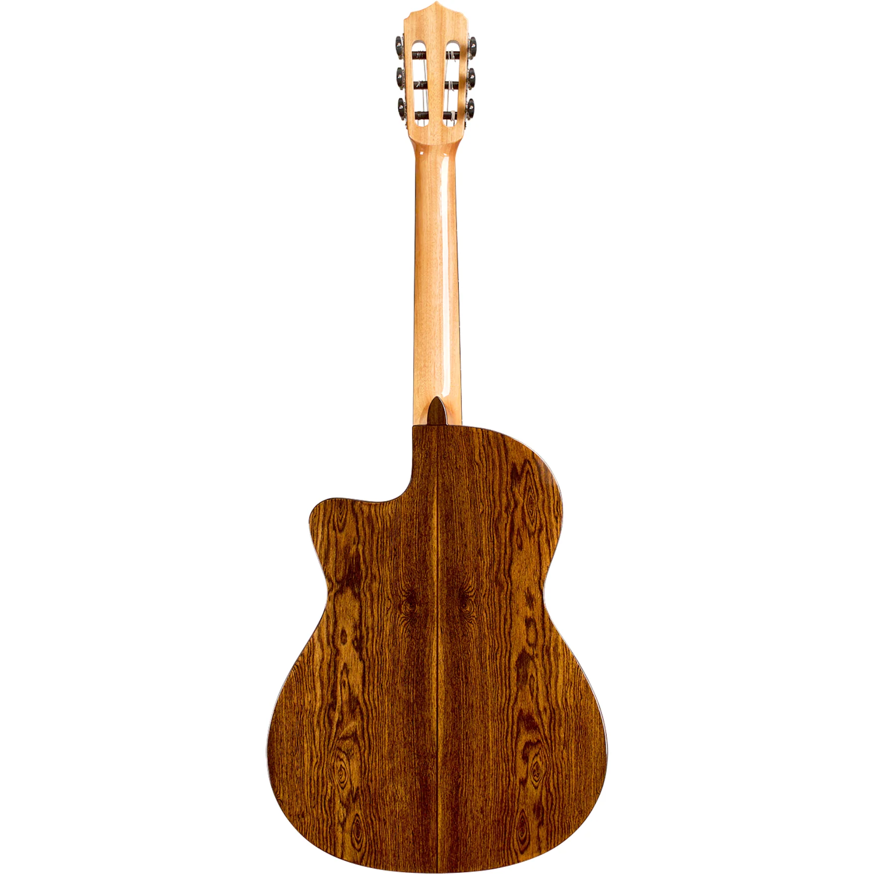 Cordoba FUSION5-LTD-BOC Fusion Series Classical Acoustic Guitar w/ Electronics - Image 2