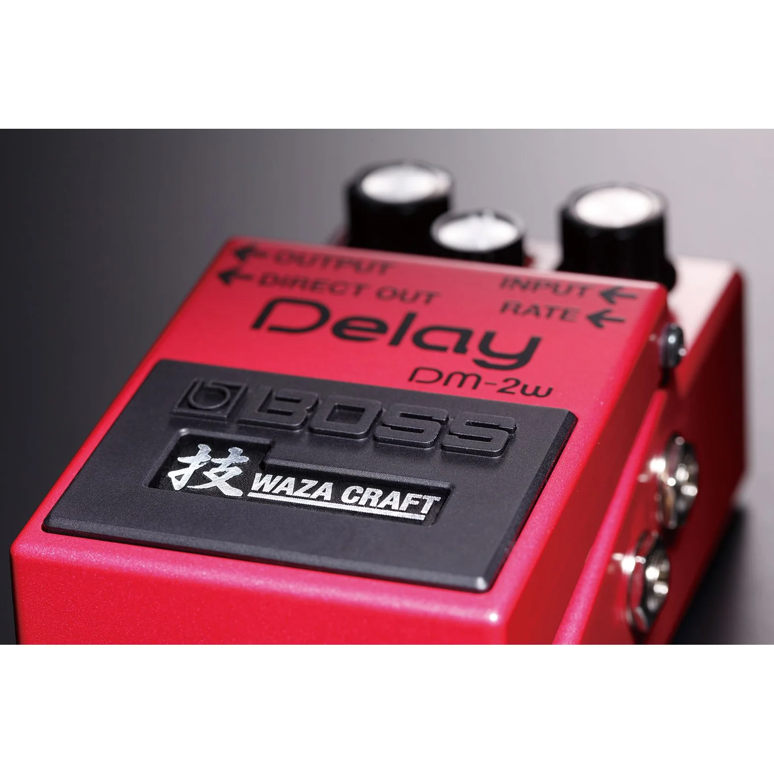Boss DM-2W Waza Craft Analog Delay Effects Pedal - Image 4