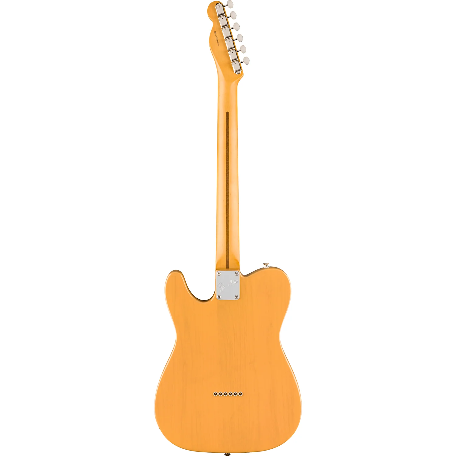 Fender 011-4962-350 Am Pro Classic Tele, MN, Butterscotch Blonde - Image 2