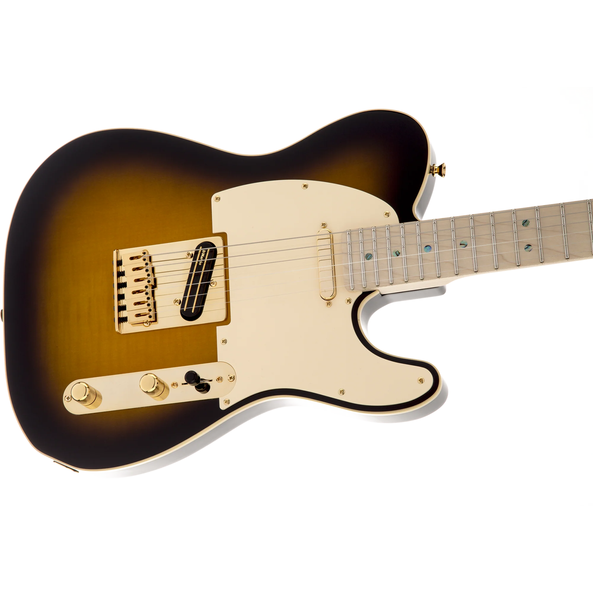 Fender 025-5202-532 Richie Kotzen Signature MIJ Tele, Brown Sunburst - Image 3
