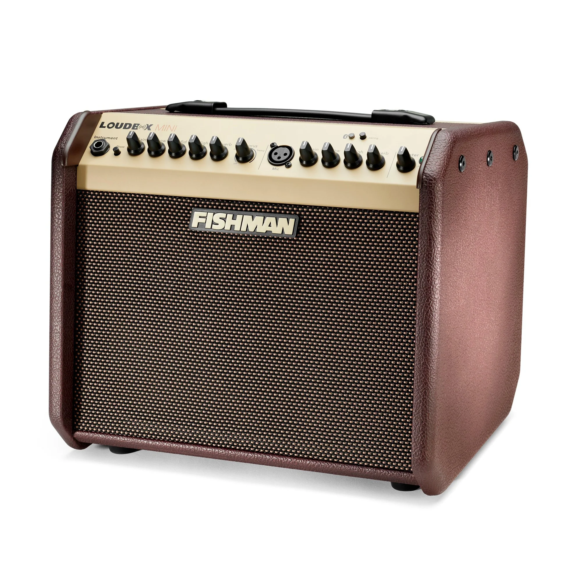 Fishman PRO-LBT-500 Loudbox Mini, w/ Bluetooth - Image 5