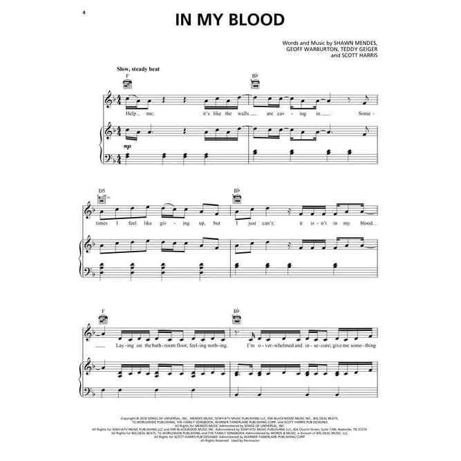 Hal Leonard HL00279536 Shawn Mendes - Piano/Vocal/Guitar - Image 4