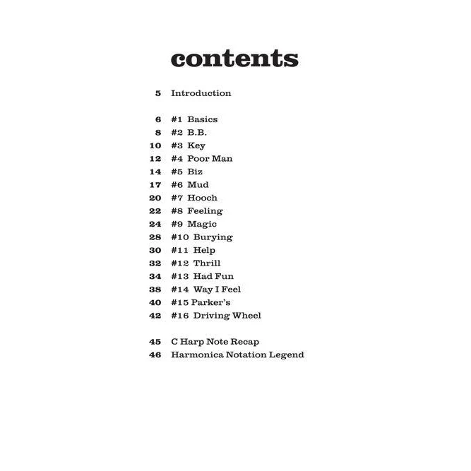 Hal Leonard HL00289620 Slow Blues Harmonica Lessons, Licks &amp; Backing Tracks - Image 2