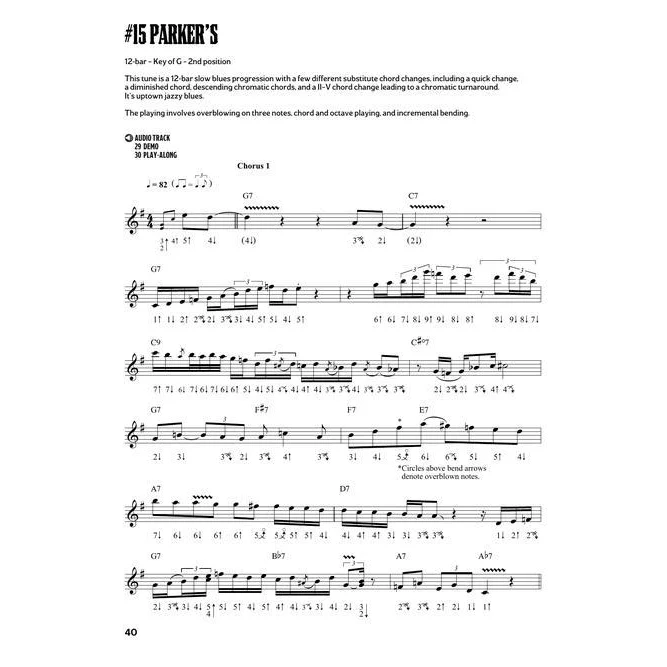 Hal Leonard HL00289620 Slow Blues Harmonica Lessons, Licks &amp; Backing Tracks - Image 6