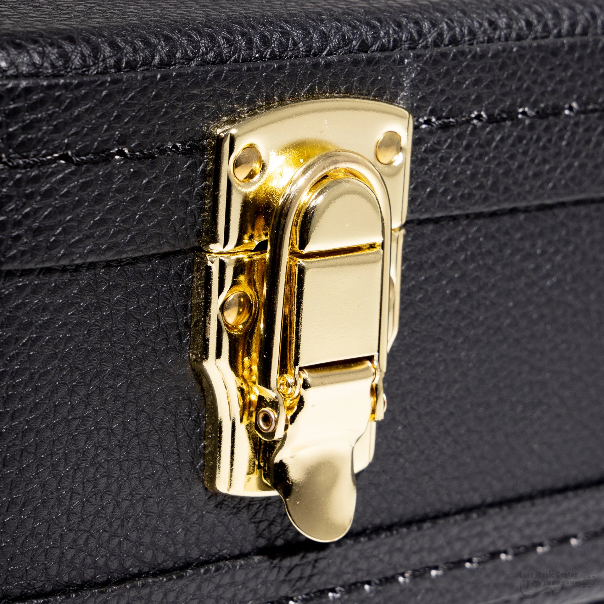 HI Bags TUC350 Tenor Ukulele Case (Gold Latches) - Image 6
