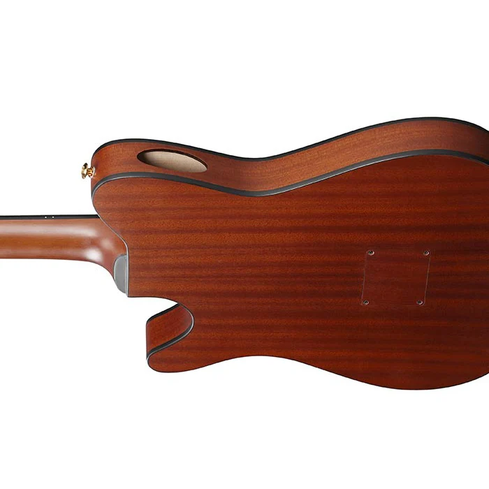 Ibanez FRH10NBSF FRH Thin-Body Nylon String Acoustic/Electric Guitar, Solid Spruce Top, Sapele b/s, Brown Sunburst Flat - Image 3