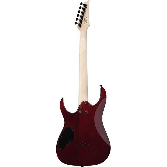 Ibanez GRGR221PAAQB Gio RG, Burl Top, HH, Hard-tail, Aqua Burst - Image 2