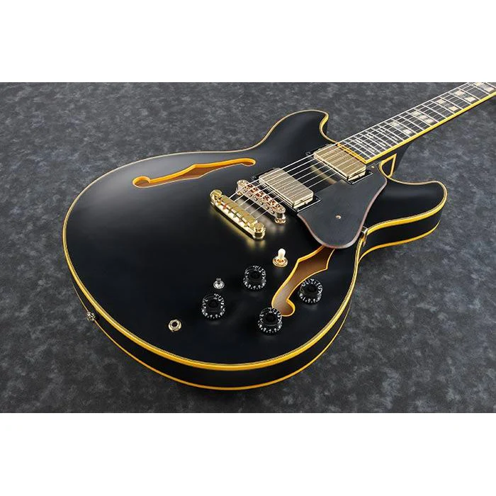 Ibanez JSM20BKL John Scofield Signature, Black Low Gloss, Ebony FB - Image 2