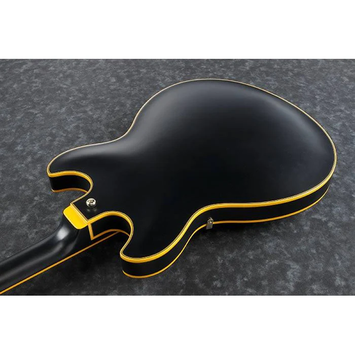 Ibanez JSM20BKL John Scofield Signature, Black Low Gloss, Ebony FB - Image 3