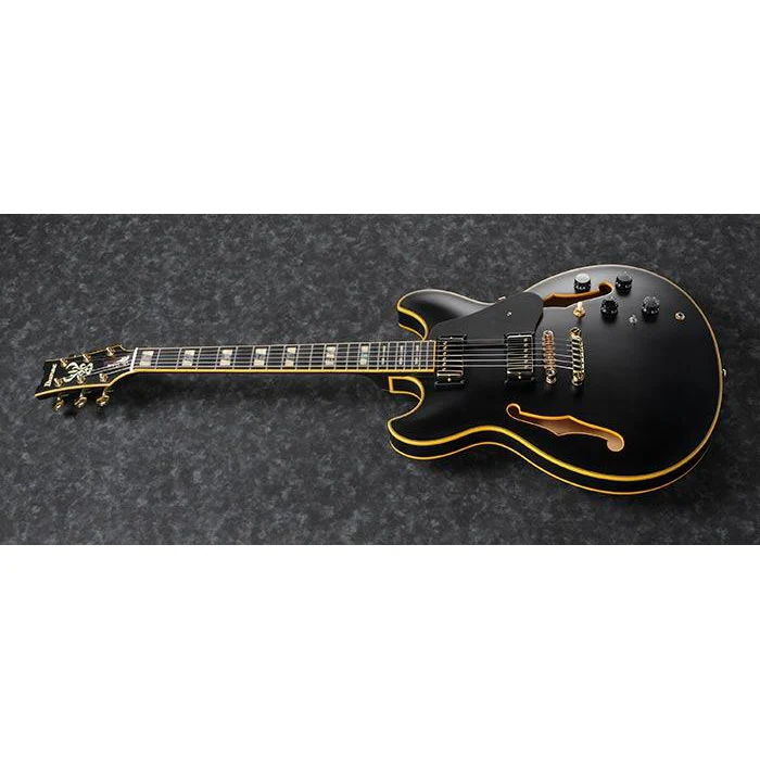 Ibanez JSM20BKL John Scofield Signature, Black Low Gloss, Ebony FB - Image 4