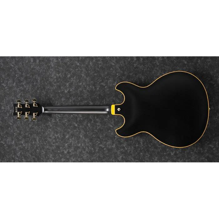 Ibanez JSM20BKL John Scofield Signature, Black Low Gloss, Ebony FB - Image 5