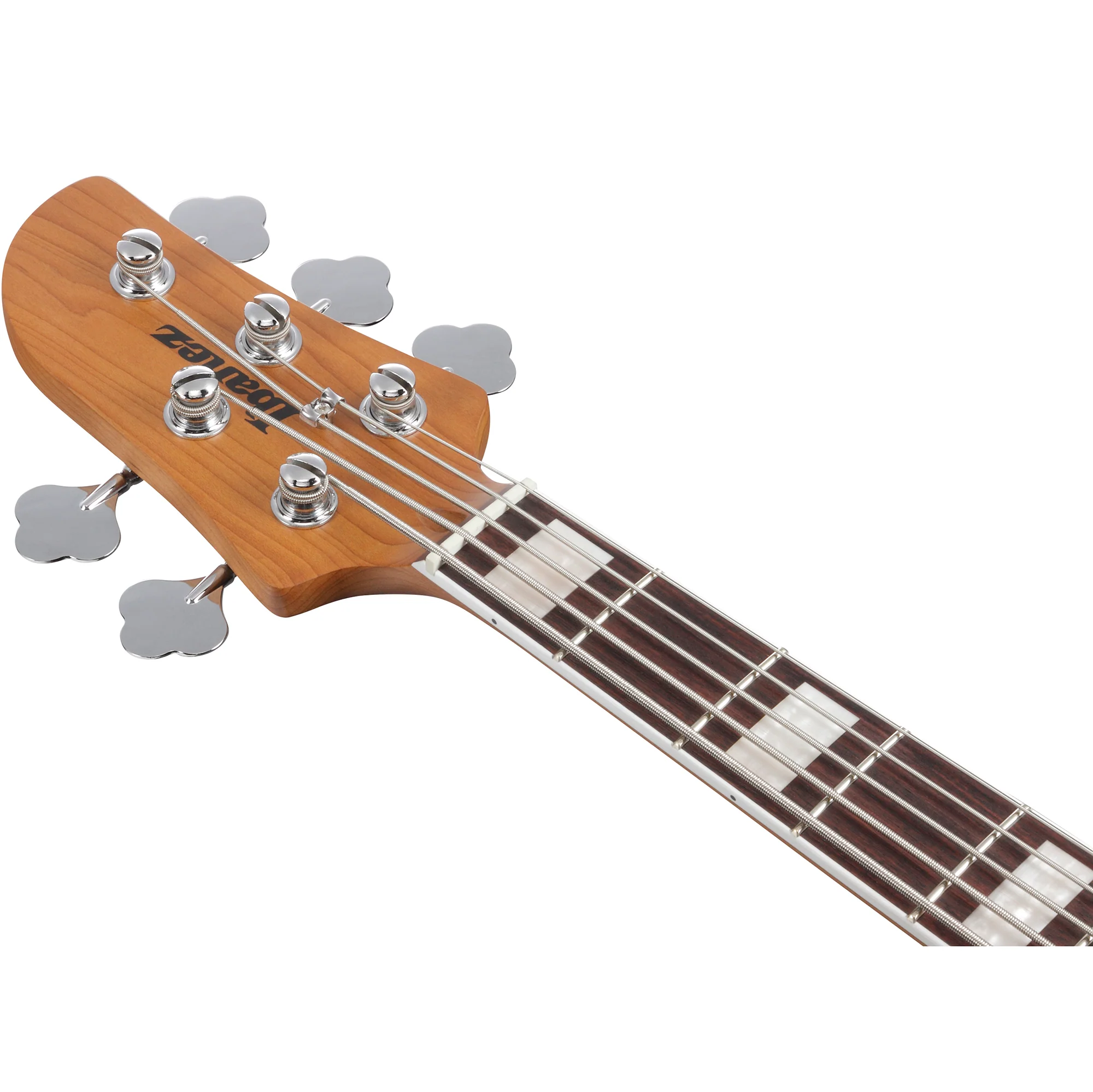 Ibanez TMB405TACBS Talman Standard 5-string Bass, Cosmic Blue Starburst - Image 5