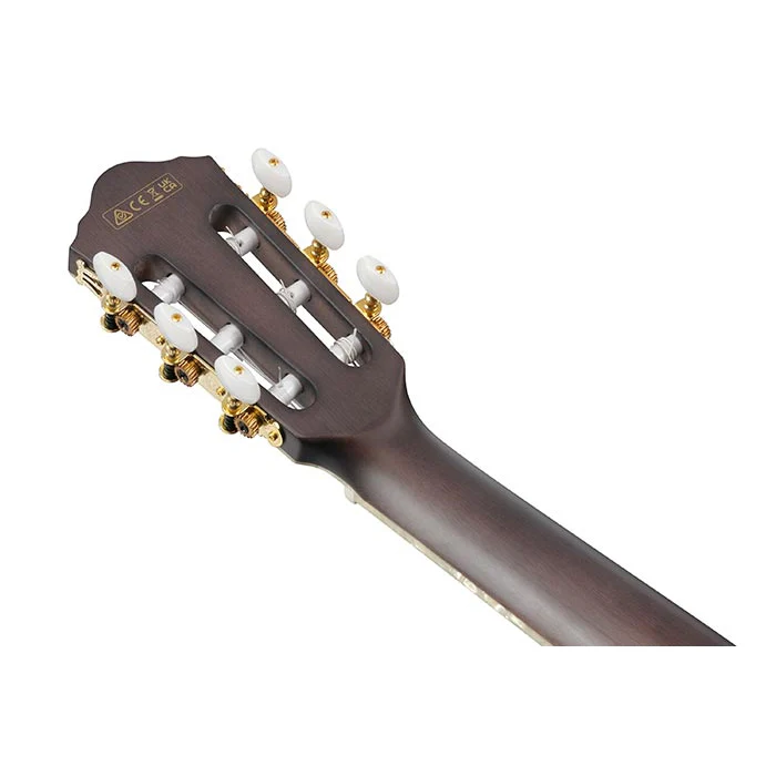 Ibanez TOD10NTKF Tim Henson Signature FRH Nylon String Guitar - Trans Black Flat - Image 2