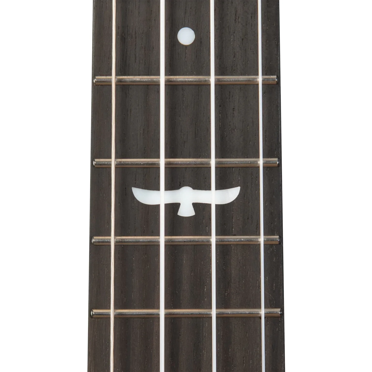 Kala KA-OWL-ACA-TE Revelator Night Owl Tenor Ukulele, Acacia - Image 5
