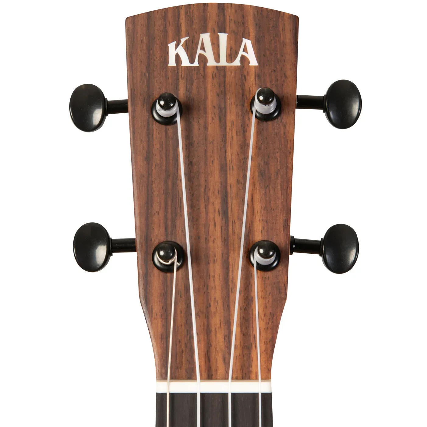 Kala KA-OWL-ACA-TE Revelator Night Owl Tenor Ukulele, Acacia - Image 6