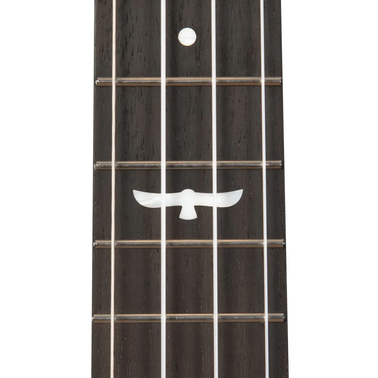 Kala KA-OWL-MNG-TE Revelator Night Owl Tenor Ukulele, Mango - Image 5