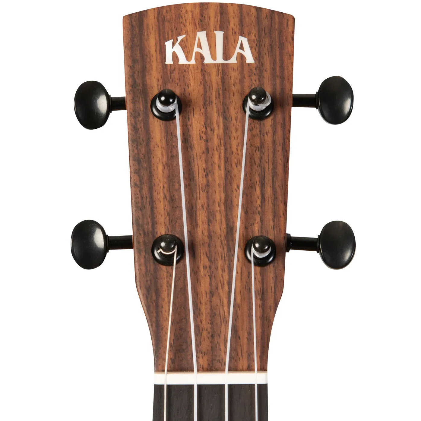 Kala KA-OWL-MNG-TE Revelator Night Owl Tenor Ukulele, Mango - Image 6