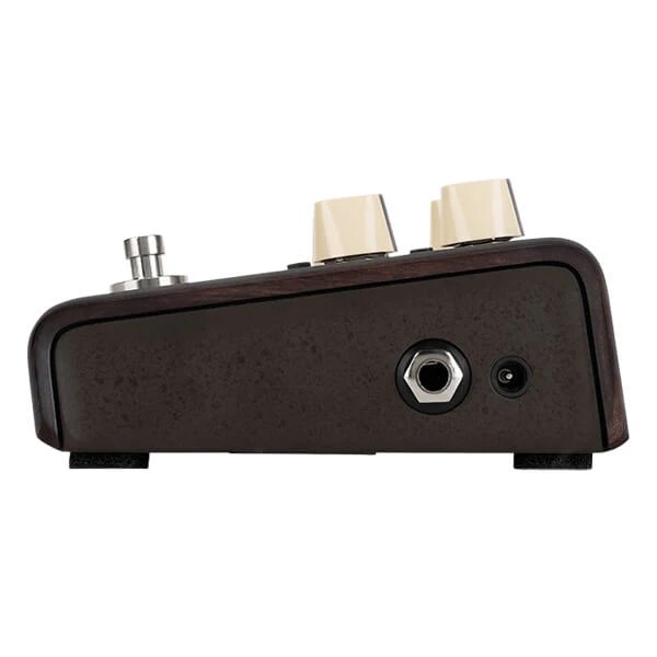 LR Baggs ALIGN-DELAY Delay Effect Pedal for Acoustic Instruments - Image 6