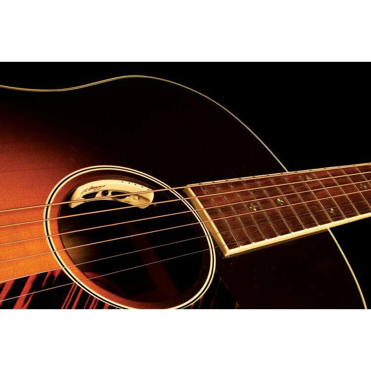 LR Baggs ANTHEM Internal Tru Mic System with Element Pickup - Image 2