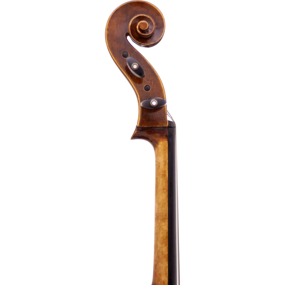 Maple Leaf MLS500C4/4 Chaconne 4/4 Cello with Bag and - Image 3