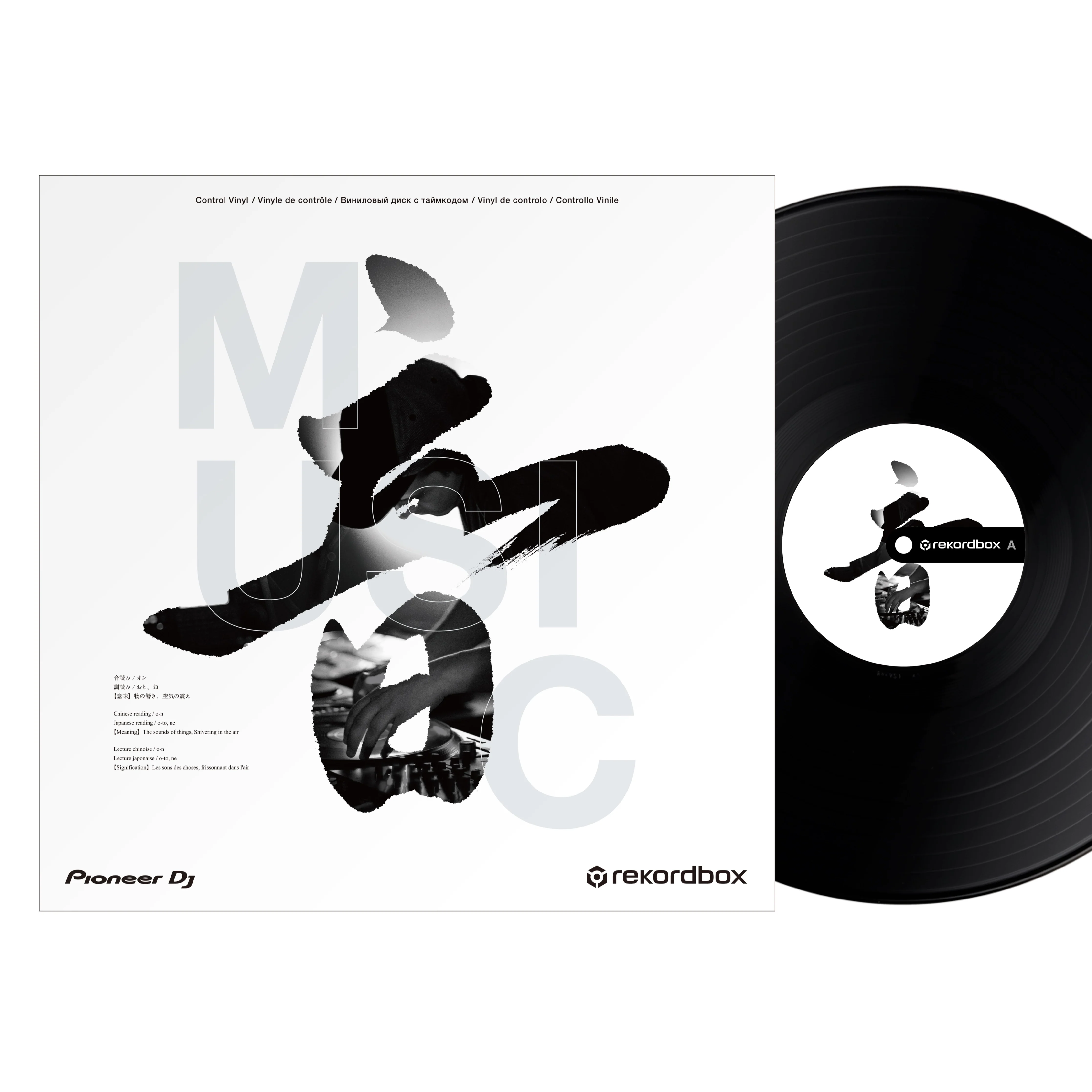 Pioneer RB-VD2-K Control Vinyl for rekordbox, Pair, Kanji Design, Black