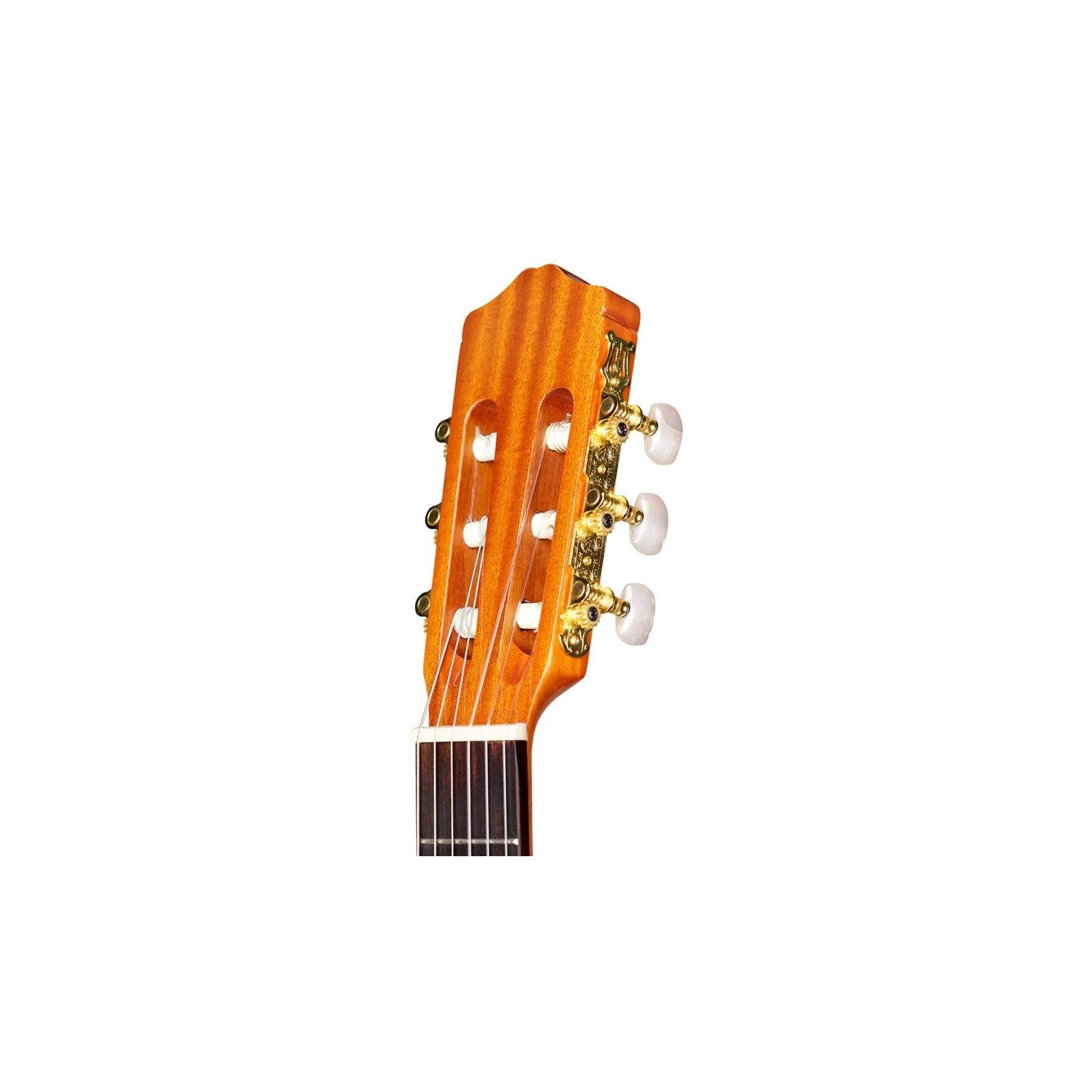 Cordoba C1 Protege Acoustic Full Size Classical Guitar - Image 3