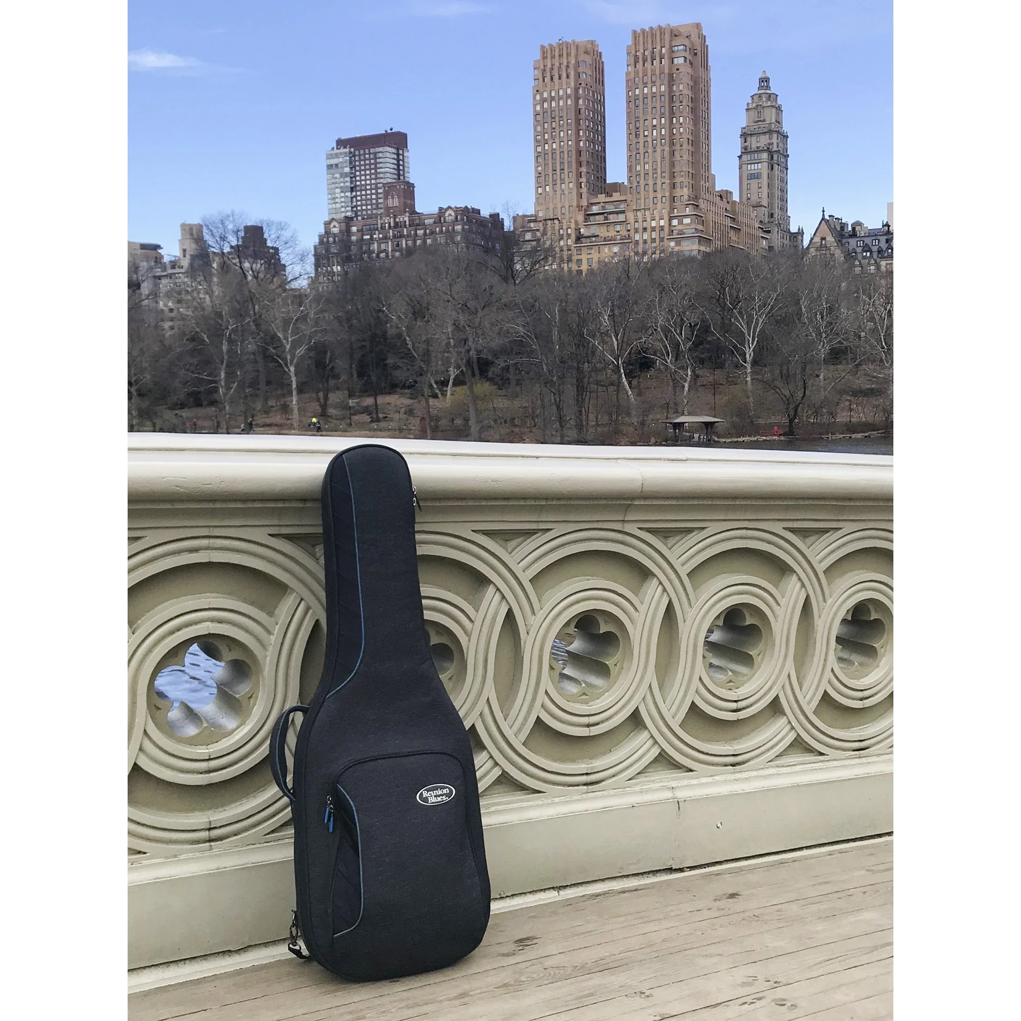Reunion Blues RBCE1 Voyager Electric Guitar Case - Image 11