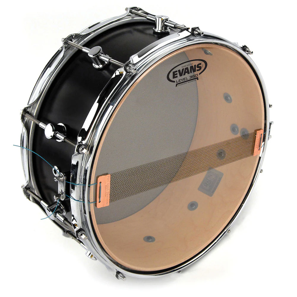 Evans S14H20 Clear 200 Snare Side Drum Head, 14 Inch