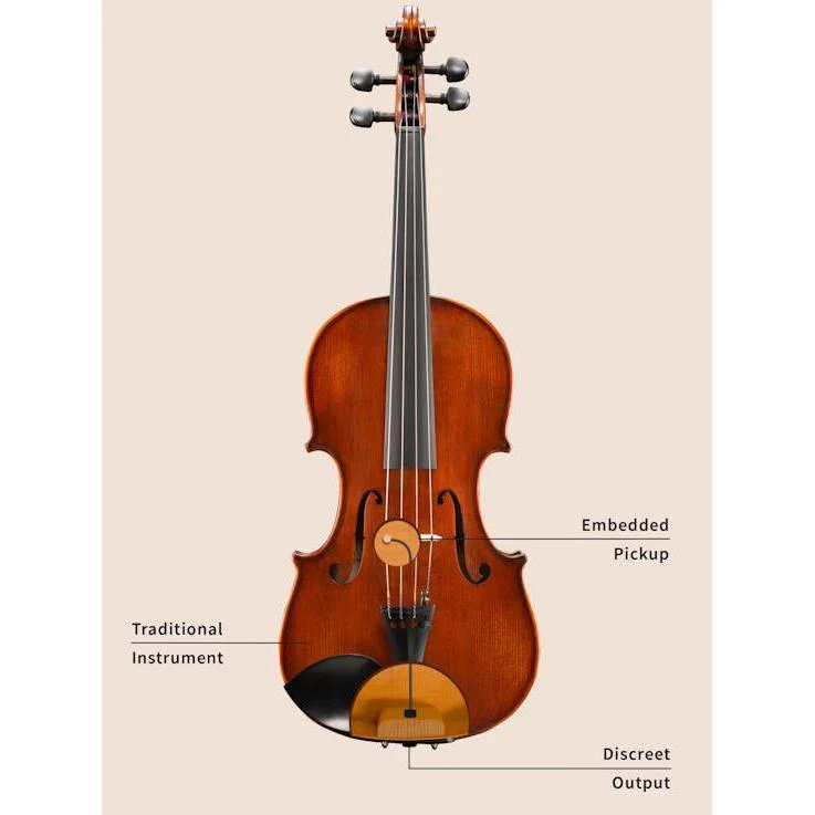 Samuel Eastman VL145SBC+ 4/4 Acoustic Electric Violin Outfit - Image 3