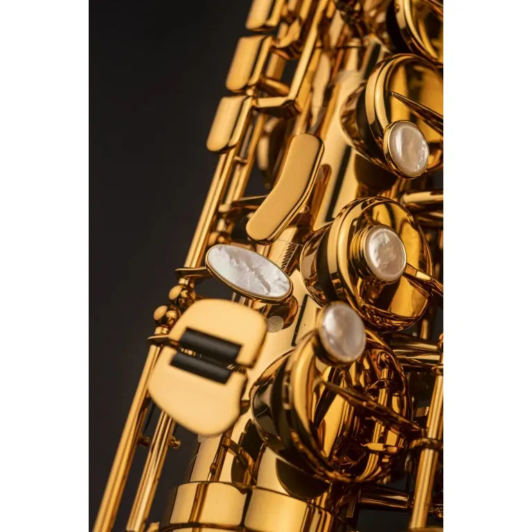 Selmer Paris 82SIG Signature Alto Saxophone - Image 11
