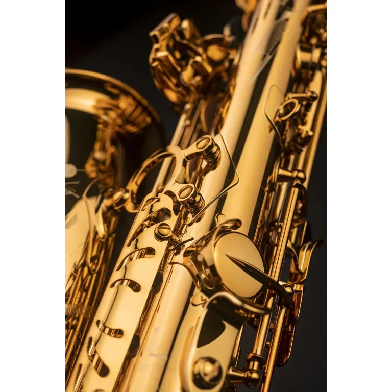 Selmer Paris 82SIG Signature Alto Saxophone - Image 9
