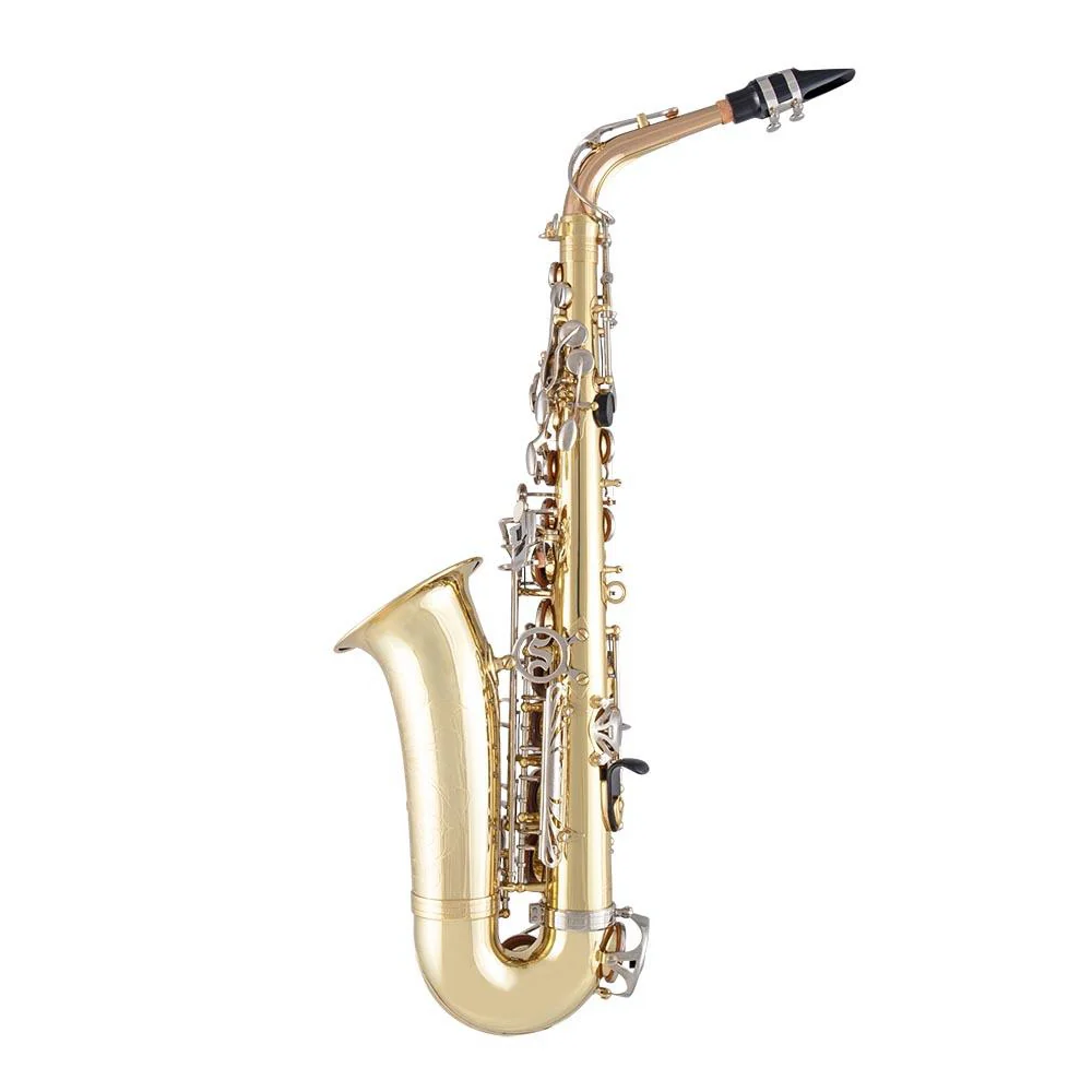 Selmer SAS301 Premium Student Alto Saxophone - Image 2