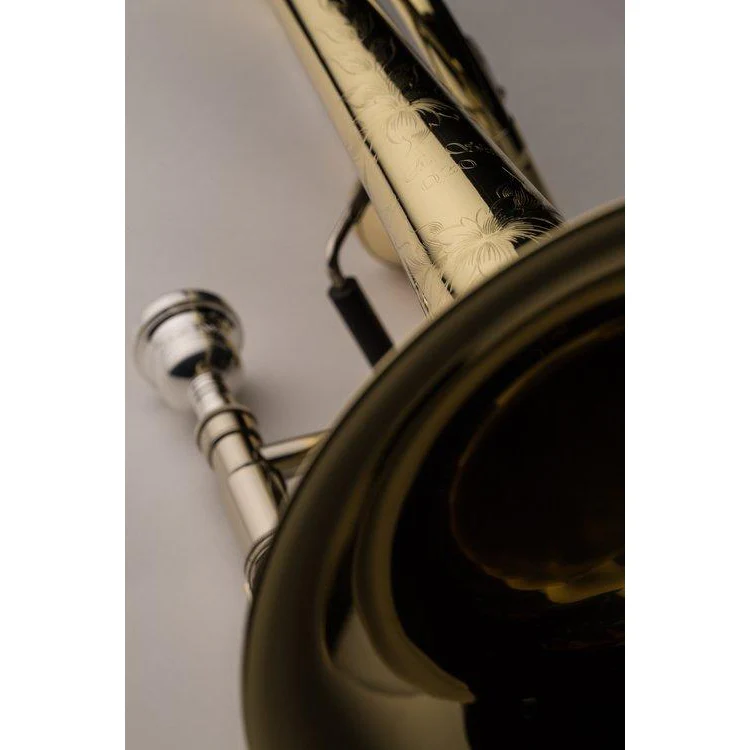 Shires TBQ30YA Shires Q30 Large Bore Tenor Trombone - Image 2