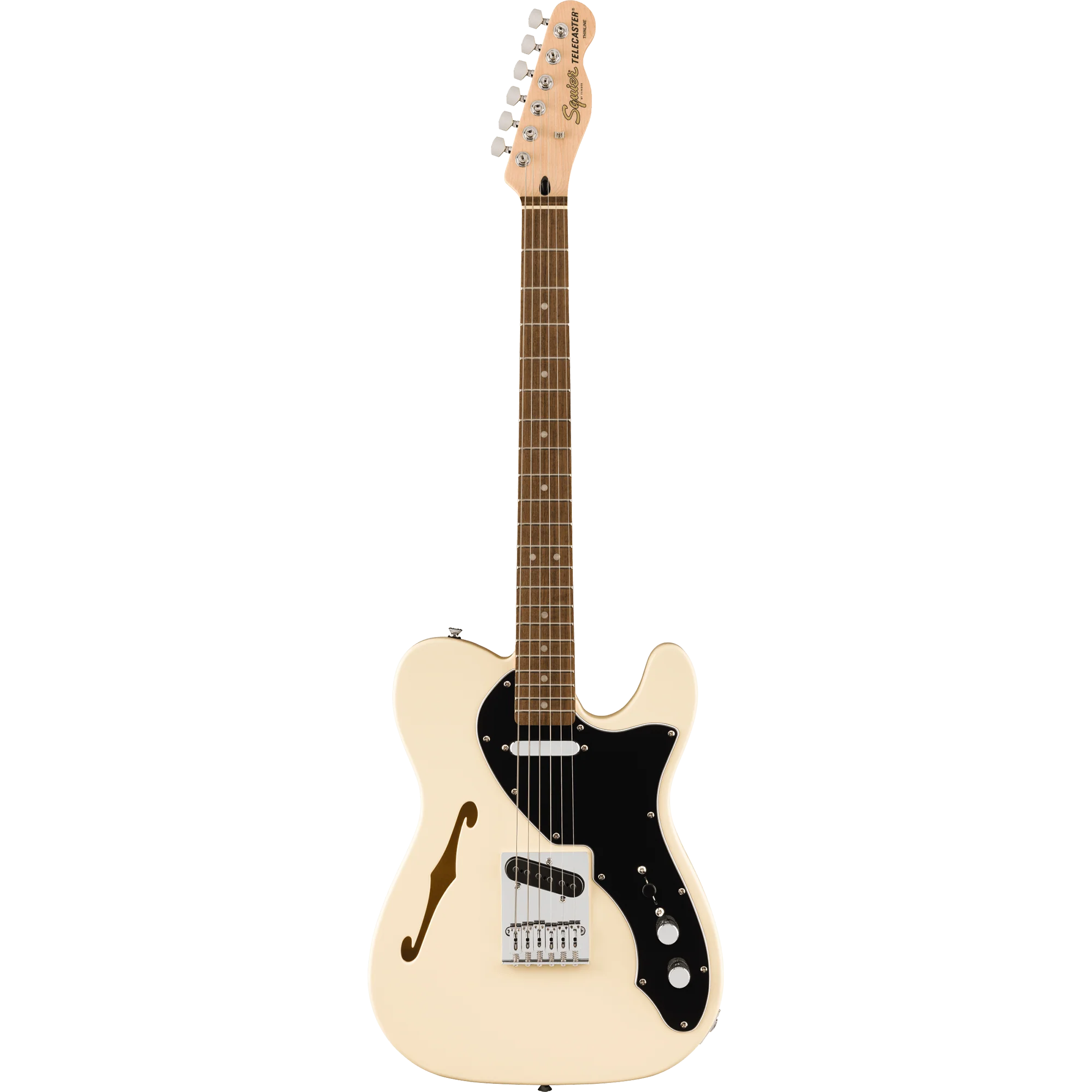 Squier 037-8271-505 Affinity Tele Thinline, Laurel FB, Olympic White
