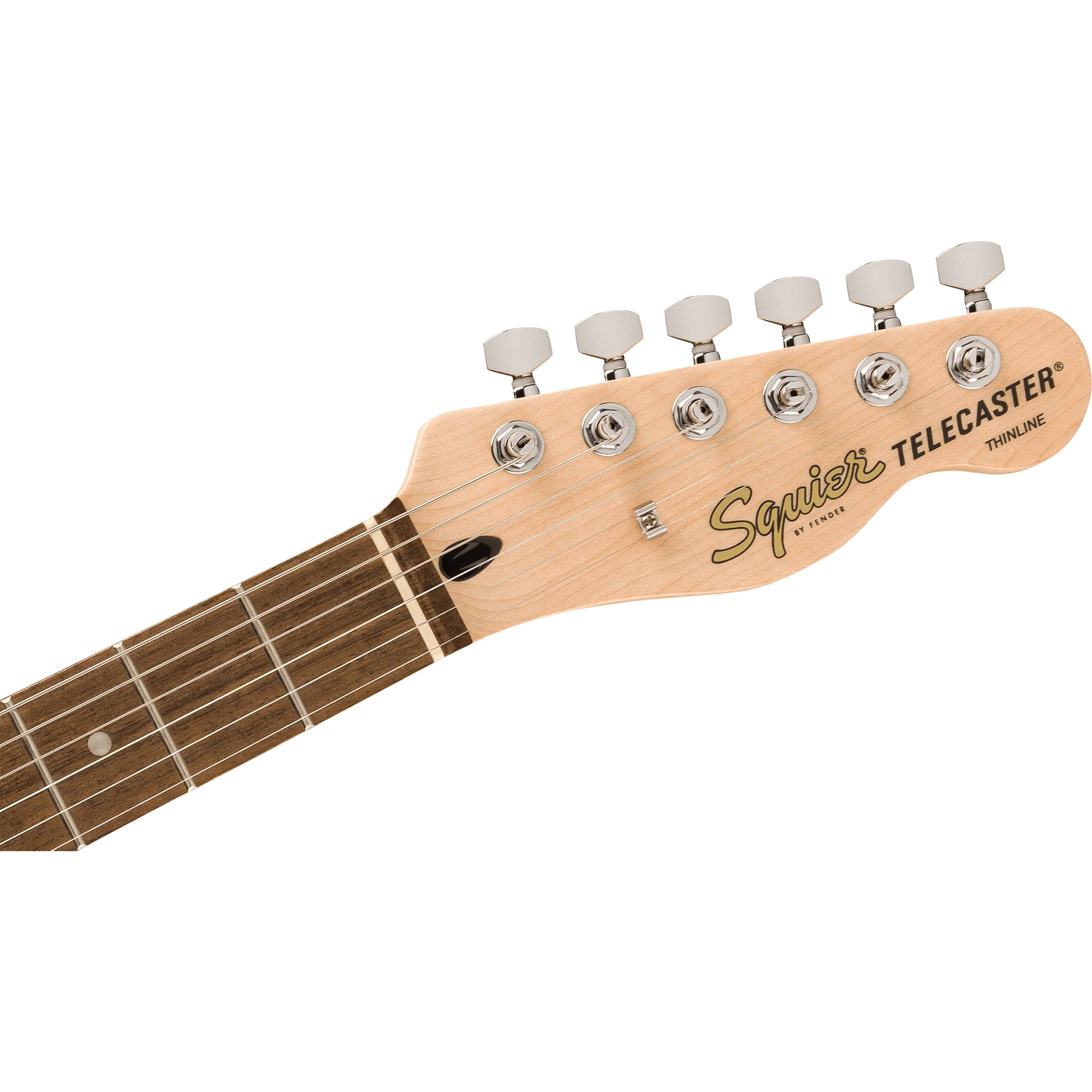 Squier 037-8271-505 Affinity Tele Thinline, Laurel FB, Olympic White - Image 5