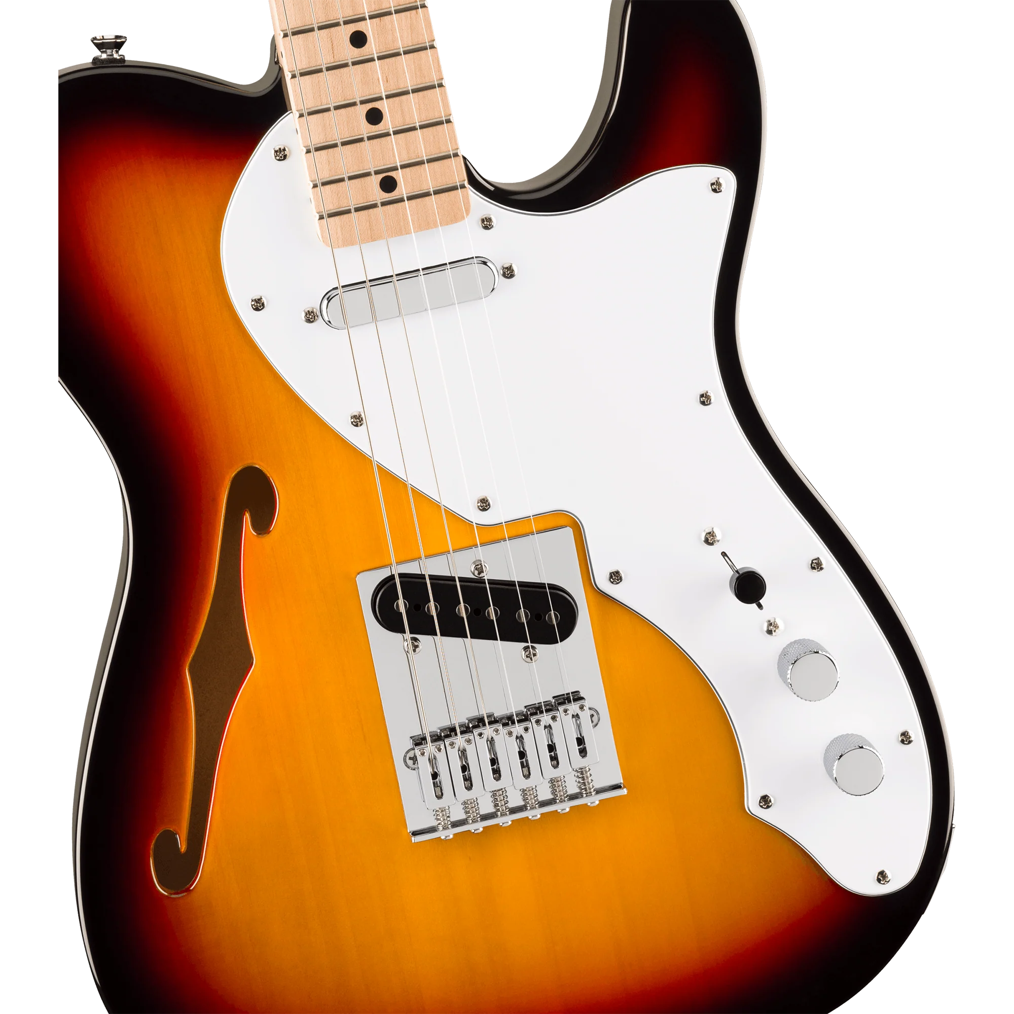 Squier 037-8272-500 Affinity Tele Thinline, Maple FB, 3-Color Sunburst - Image 3