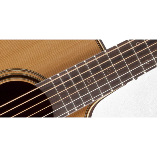 Takamine P3DC Dread Nat C/A, Solid Cedar Top, Solid Sapele Back, RW - Image 2