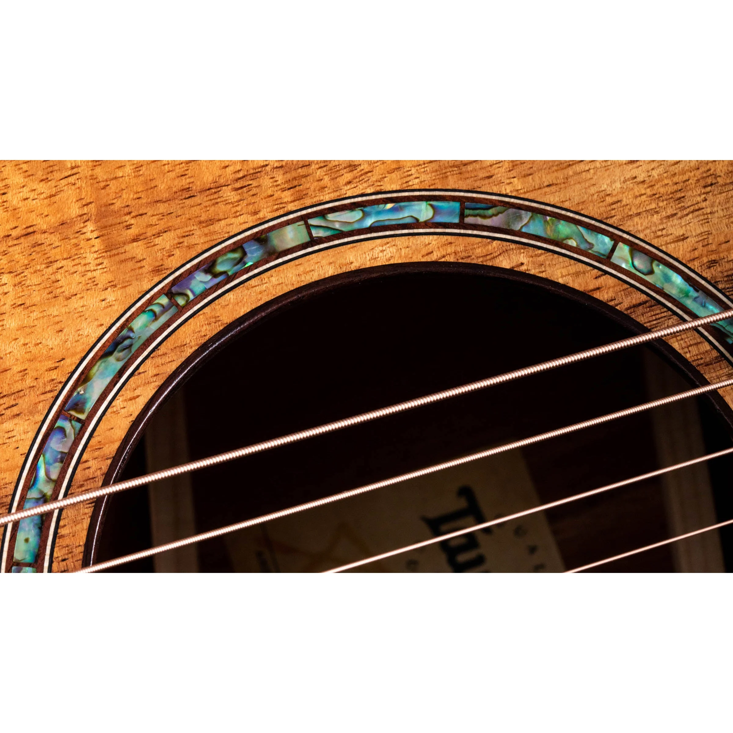 Taylor 722CE Grand Concert - All Koa, Cutaway, Electronics - Image 6