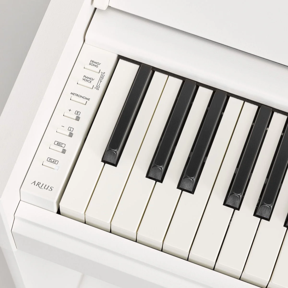 Yamaha YDPS55WH 88-key Arius Slim Design Digital Piano, GH3 Hammer Action, White Walnut - Image 3